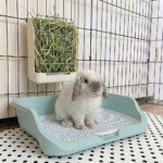 Rabbit Hay Feeder