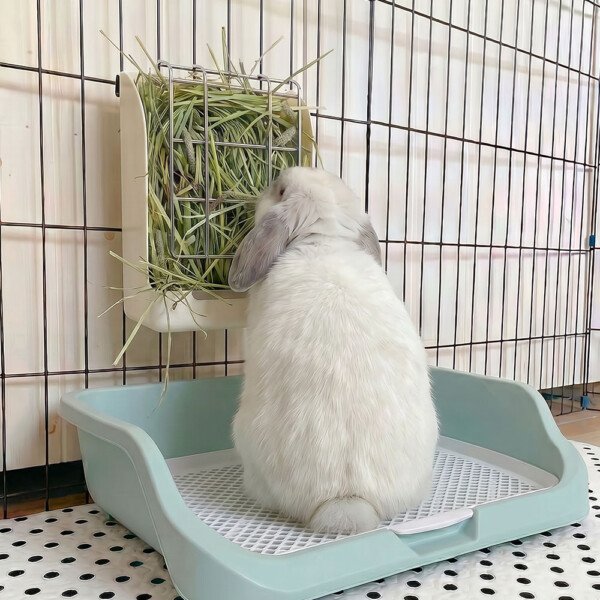 Rabbit Hay Feeder in Plastic