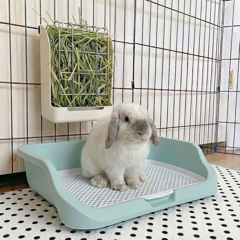 Rabbit Hay Feeder