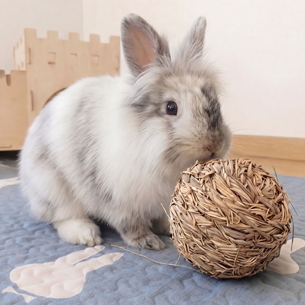 Rabbit chew toy ball