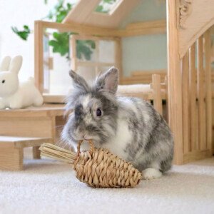 Rabbit chew toy carrot