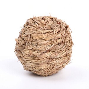 Rabbit hay ball