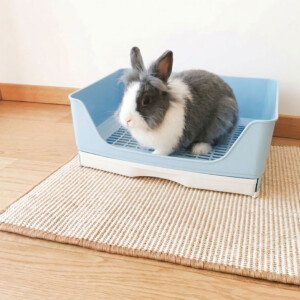 Rabbit litter box with grid