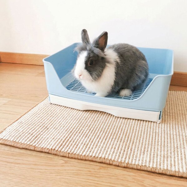 Rabbit litter box with grid