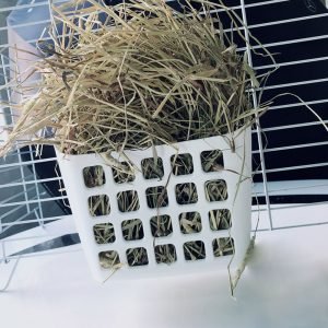 Rabbit Hay Feeder Basket, Clean Hay Every Time