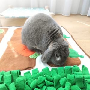 Rabbit Foraging Mat, a Veggie Garden for Your Bun