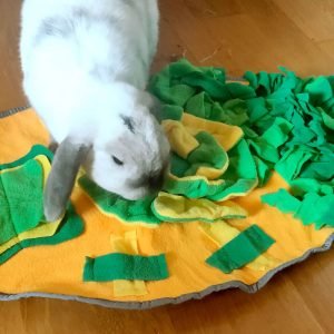 Rabbit Snuffle Mat, Let Your Bun Forage