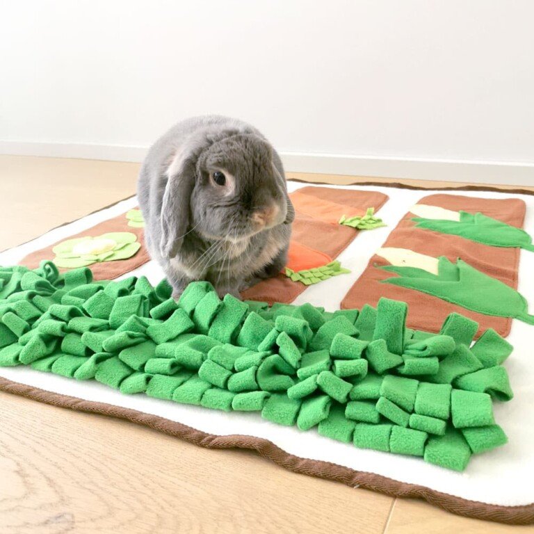 Rabbit Foraging Mat | Veggie Garden Enrichment Toy for Bunnies