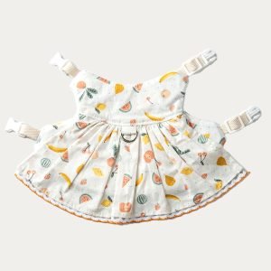 Fruit Rabbit Clothes Harness, Style Meets Safety