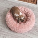bunny bed pink