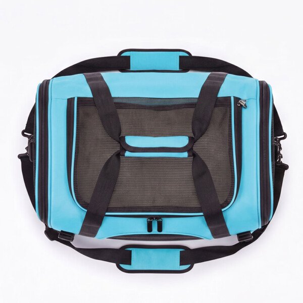 bunny carrier blue top