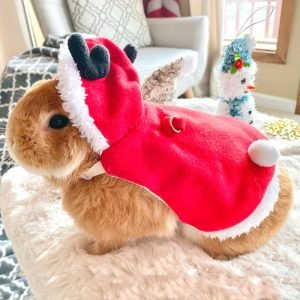 Bunny Harness Christmas Costume, Holiday Fun for Your Bun