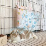 bunny cooling bag