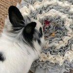 bunny toy enrichment