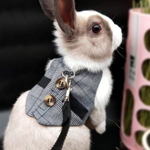 Rabbit Harness with Leash, Walk Your Bun in Style