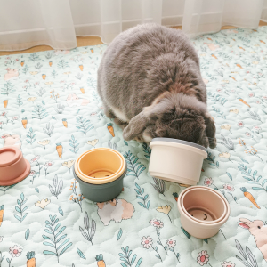 Rabbit Toy Stacking Cups, Watch Your Bun Solve It