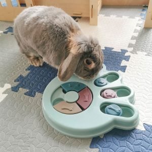 Rabbit Toy Puzzle Treats, Make Your Bun Think