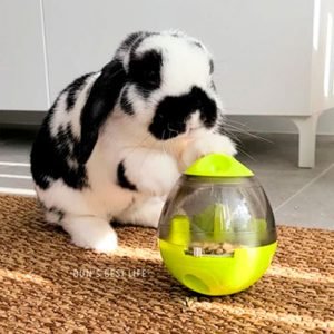 Rabbit Toy Treat Dispenser, Roll It for Snacks