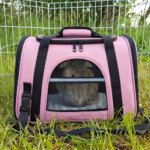 pink rabbit carrier bag