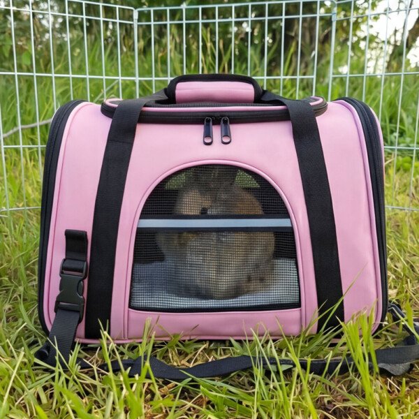 pink rabbit carrier bag