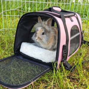 Rabbit Carrier with Cushion, Stress-Free Vet Trips