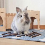 rabbit chew toys natural wood