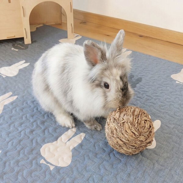 rabbit gnawing toy ball