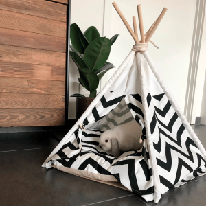 Rabbit House Teepee, A Cozy Hideout for Your Bun