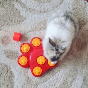 toys for rabbits puzzle