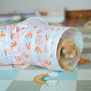 Foldable Rabbit Tunnel, Let Your Bun Dig In