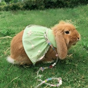 Rabbit Clothes Green Dress Bunny Harness, Walks With Flair