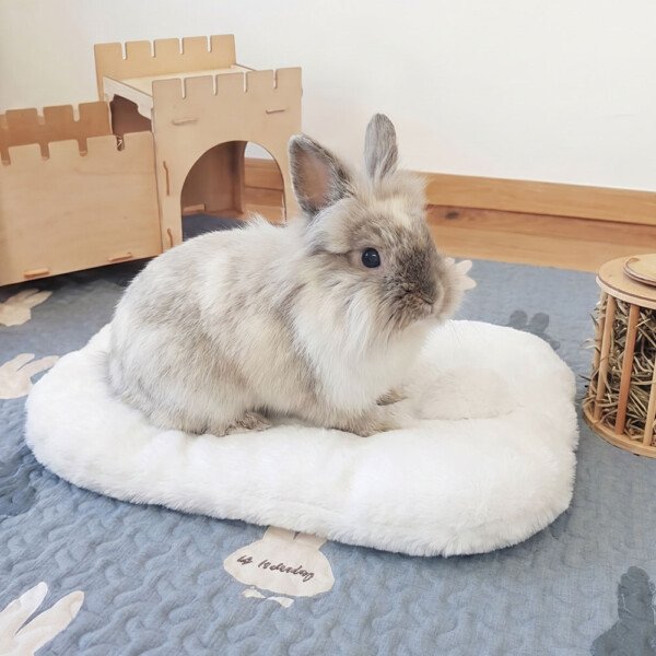 white rabbit bed white rabbit bed