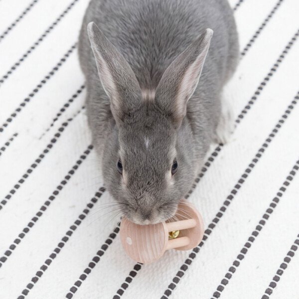 wooden rabbit toy with bell