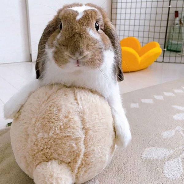 Balloon rabbit toy