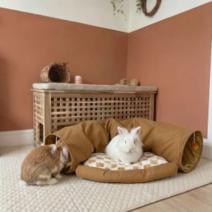 Brown rabbit tunnel