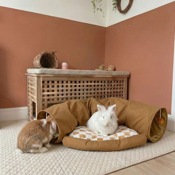 Brown rabbit tunnel Brown rabbit tunnel