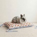 Bunny bed cushion