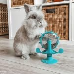 Bunny enrichment toys wheel