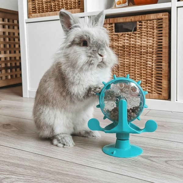 Bunny enrichment toys wheel