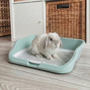 Bunny litter box