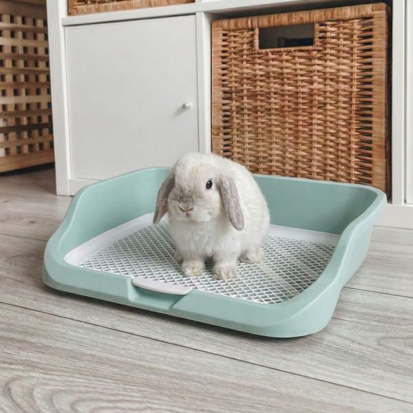 Bunny litter box blue with grid