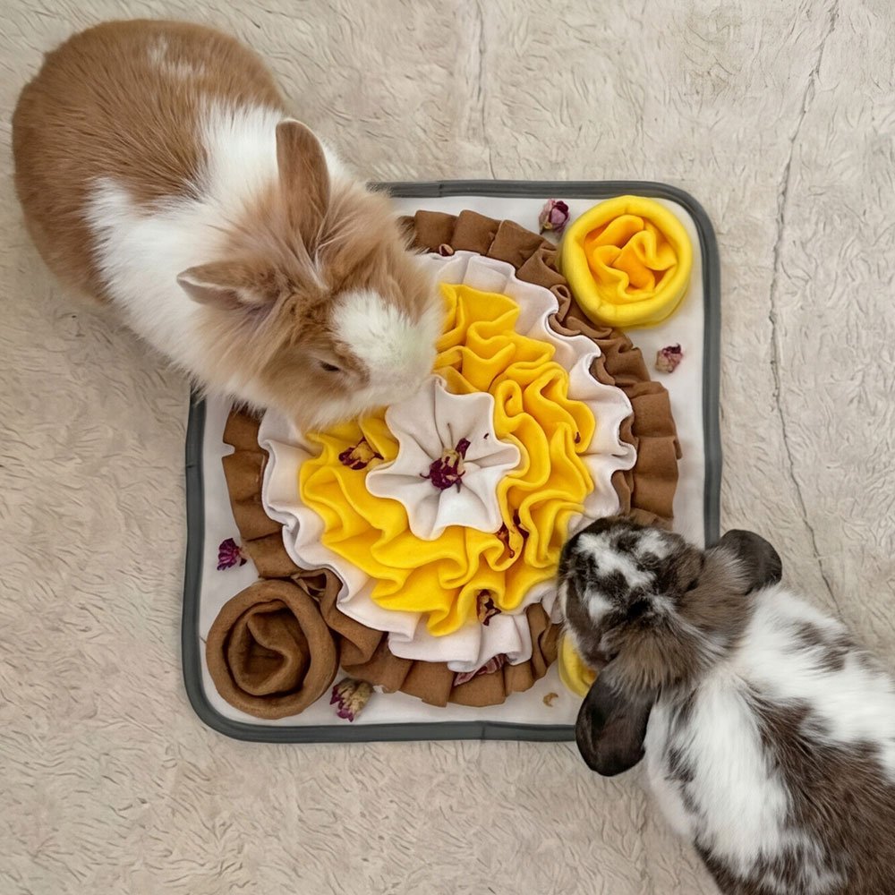 Bunny rabbit toys forage mat