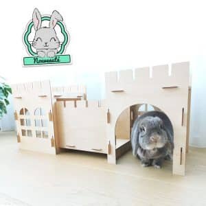 Rabbit House