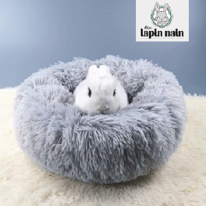 Rabbit Bed - Bed for rabbit