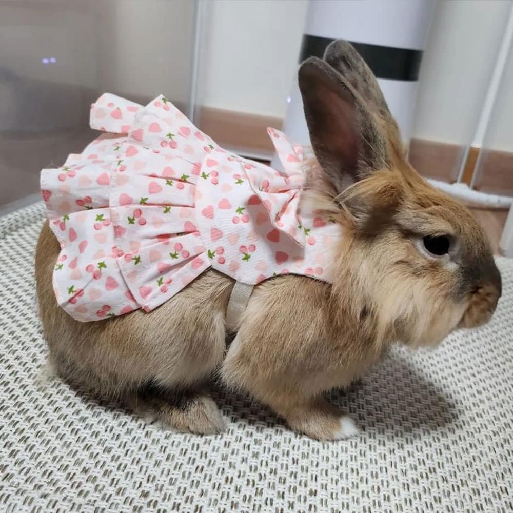 Rabbit Clothes outfits