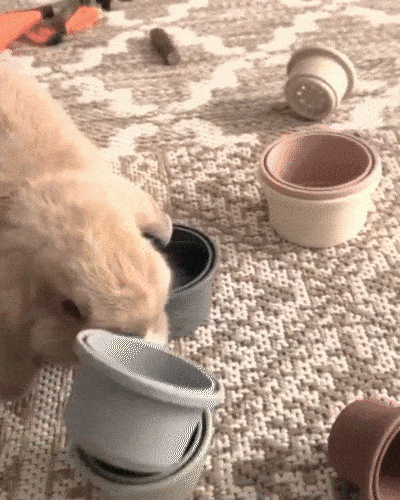 rabbit stacking cups toy in action