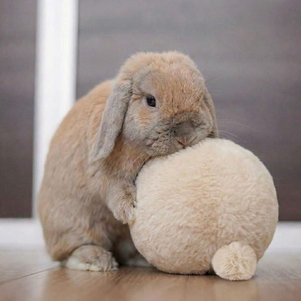 Plush rabbit toy balloon