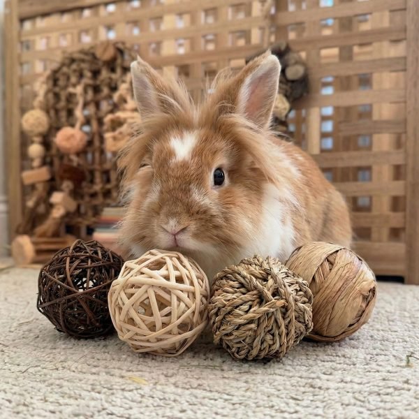 Rabbit Chew Toy