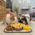 Rabbit Foraging Mat