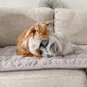 Rabbit Mat for couch